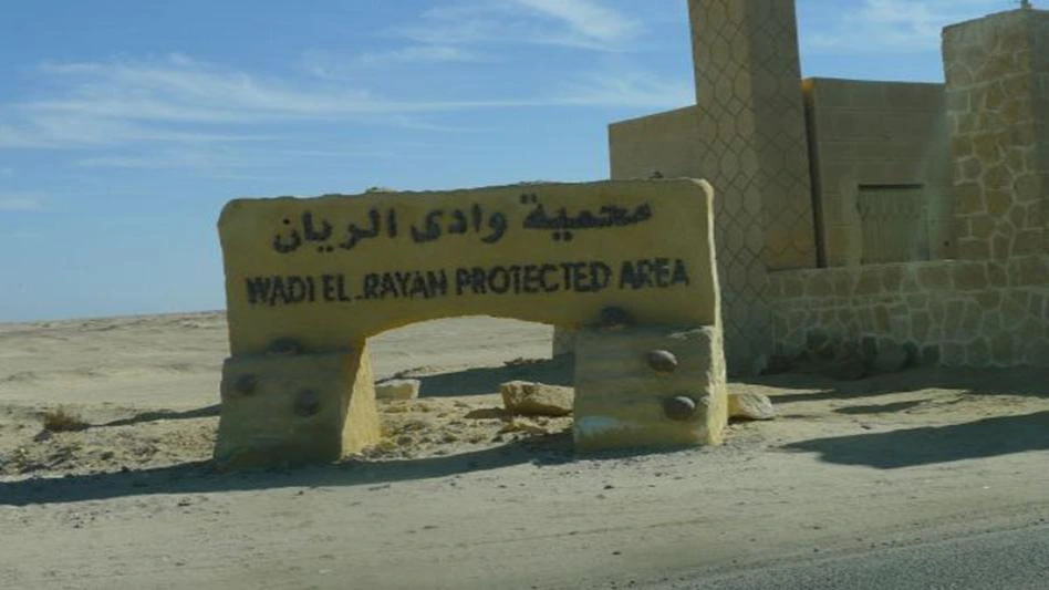 Wadi al Rayan Protected Area Egypt Travel Booking